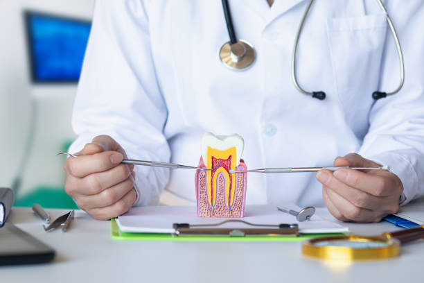 Best Emergency Treatment for Oral Infections in North Gates, NY